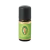 Primavera Rosmarin Campher Öl ätherisch , 10 ml> Ätherische Öle & Duftöle