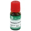 Arcana Sanguinaria LM 18 Dilution, 10 ml> S