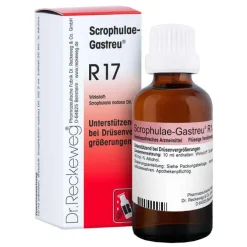 Scrophulae Gastreu R 17 Tropfen zum Einnehmen, 50 ml