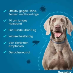 Seresto Halsband für große Hunde über 8 kg, 1 St