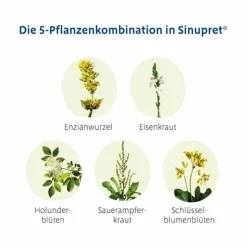 Sinupret ® überzogene Tabletten, 50 St><noscript><img width=
