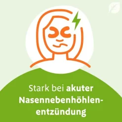 Sinupret eXtract Tabletten, 40 St