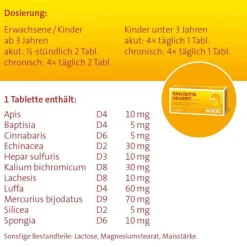 Sinusitis Hevert Tabletten, 40 St