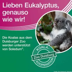 Soledum addicur 200 mg magensaftresistent Weichkapseln, 100 St><noscript><img width=