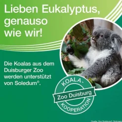 Soledum Balsam, 50 ml><noscript><img width=