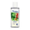Spitzner Saunaaufguss Ingwer Limette Wellness, 190 ml> Saunaaufguss
