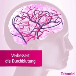 Tebonin konzent 240 mg Filmtabletten, 60 St