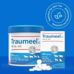 Traumeel LT ad us.vet.Tabletten, 100 St