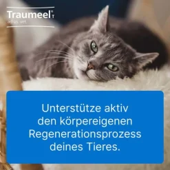 Traumeel T ad us. vet. Tabletten für Hund und Katze, 250 St