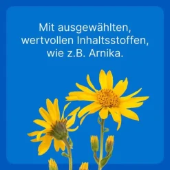 Traumeel T ad us. vet. Tabletten für Hund und Katze, 250 St