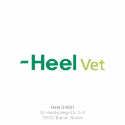 Traumeel T ad us. vet. Tabletten für Hund und Katze, 250 St