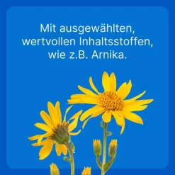 Traumeel T ad us. vet. Tabletten für Hund und Katze, 100 St