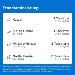 Traumeel T ad us. vet. Tabletten für Hund und Katze, 100 St