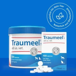 Traumeel T ad us. vet. Tabletten für Hund und Katze, 100 St