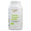 Tribulus terrestris Extrakt 500 mg Kapseln, 100 St