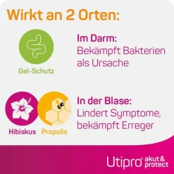 Utipro ® akut & protect Kapseln, 15 St><noscript><img width=