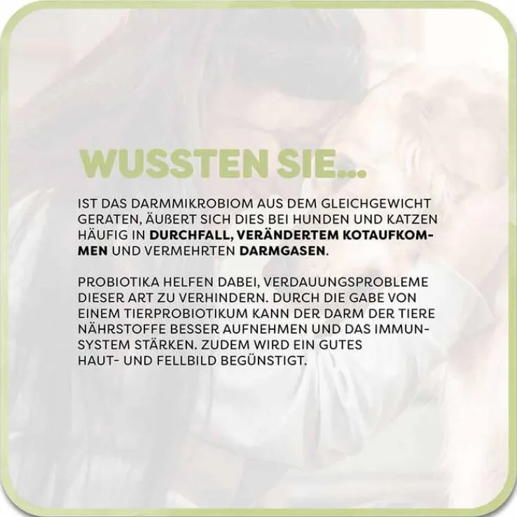 Vetvisan Tierprobiotikum Pulver für Hunde / Katzen, 100 g