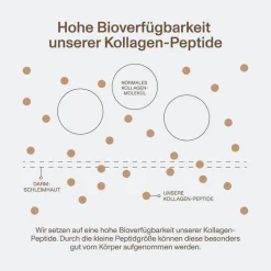 Vital Proteins Collagen Peptides Kakao Pulver, 297 g><noscript><img width=