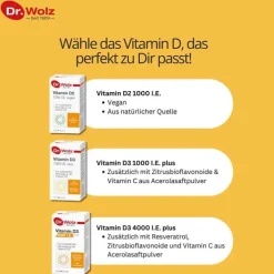 Dr. Wolz Vitamin D2 1000 I.E. vegan Kapseln, 60 St><noscript><img width=