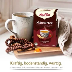 Yogi Tea Männer Bio, 17X1.8 g> Yogi Tee|Bio Tee