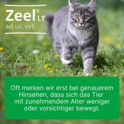 Zeel ® LT ad us. vet. Tabletten, 500 St><noscript><img width=
