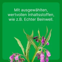 Zeel ® LT ad us. vet. Tabletten, 500 St><noscript><img width=