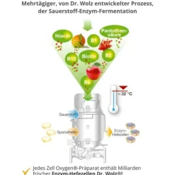 Dr. Wolz Zell Oxygen + Gelee Royale 600 mg Trinkampullen, 14X20 ml><noscript><img width=