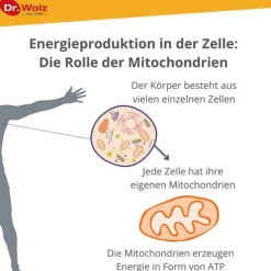 Zell Oxygen plus flüssig, 250 ml