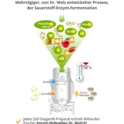 Zell Oxygen Zym Anti Aging 14 Tage Kombipackung, 1 P